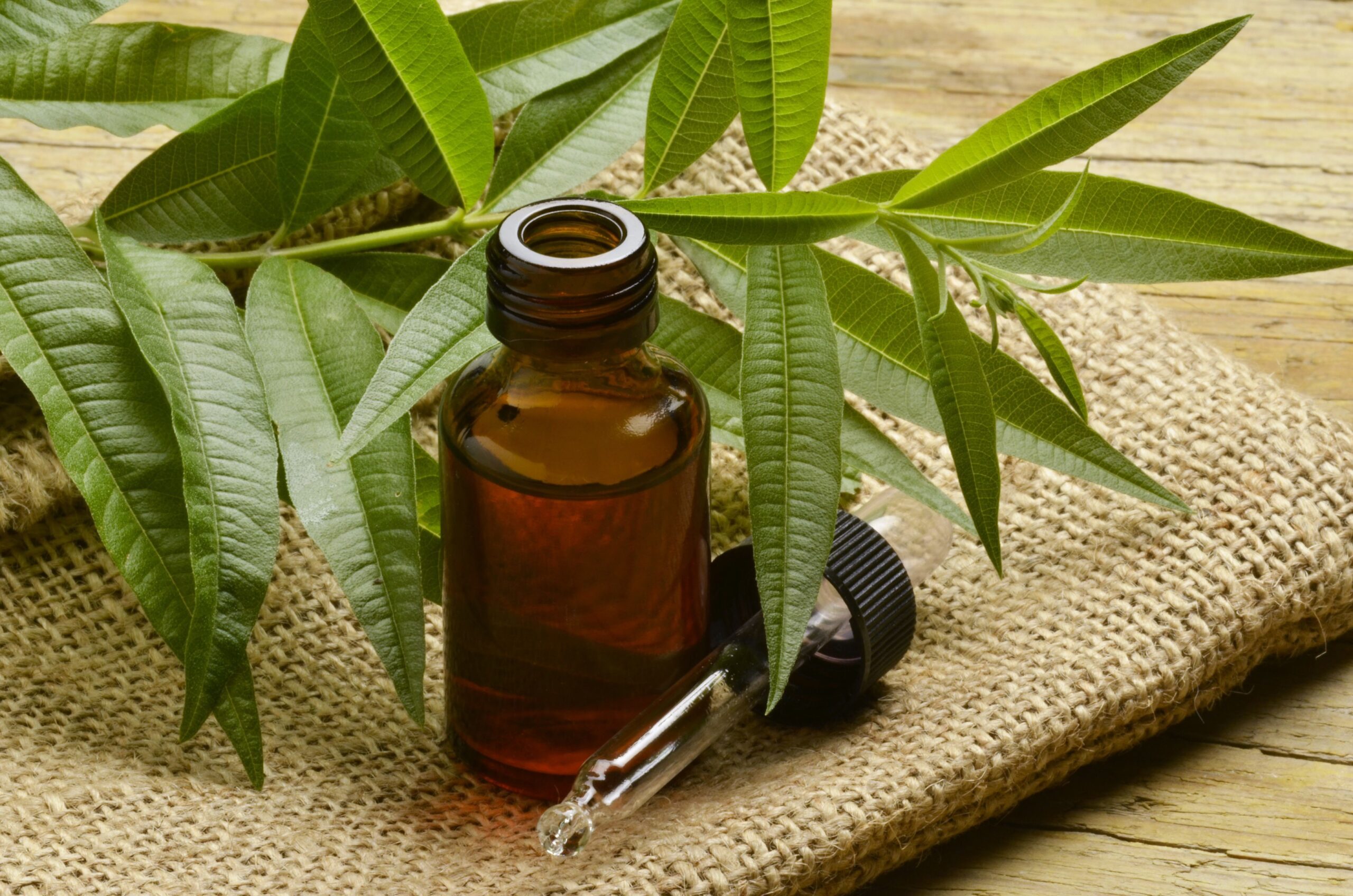 Tea Tree Oil Market Sales Footprint with Strategy Overview, Opportunity Map Analysis & Key facts-2027